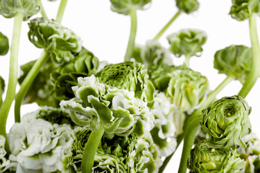 Similar image 13087105