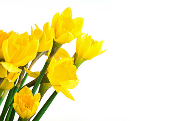 Similar image 13087151