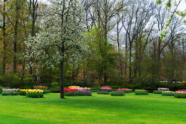 Similar image 13088025