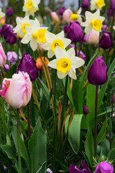 Similar image 13088108