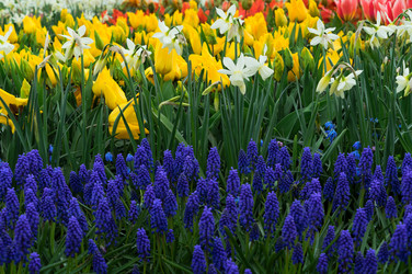 Similar image 13088129