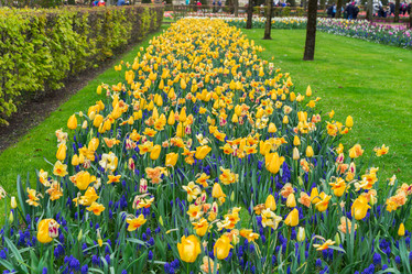 Similar image 13088149