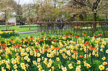 Similar image 13088189