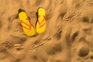 Similar image 13088366