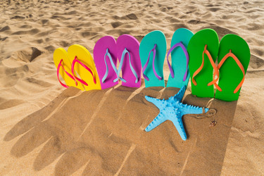 Similar image 13088489