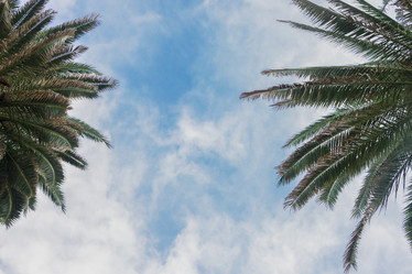 Similar image 13088551