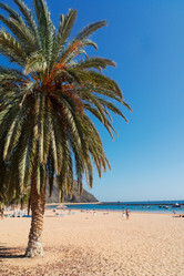 Similar image 13088570