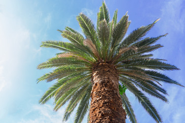 Similar image 13088589