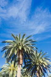 Similar image 13088607