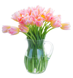 Similar image 13088026