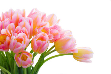 Similar image 13088027