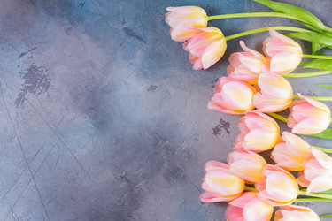 Similar image 13088748