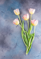 Similar image 13088769