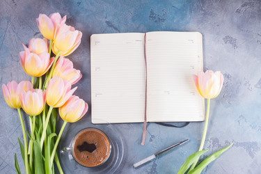 Similar image 13088790