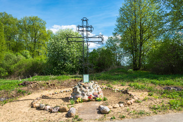 Similar image 13080258