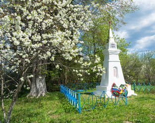 Similar image 13080278