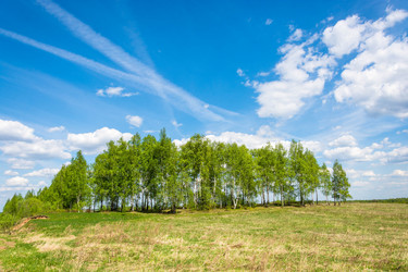 Similar image 13080298