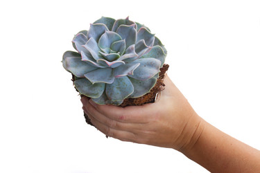 Similar image 13088509