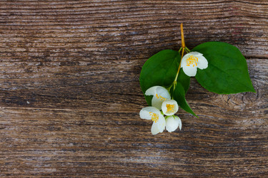 Similar image 13088068