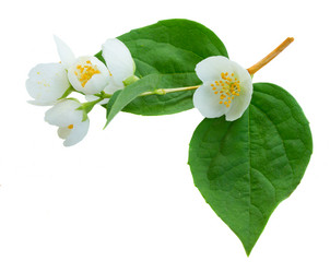 Similar image 13088248