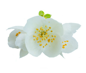 Similar image 13088268