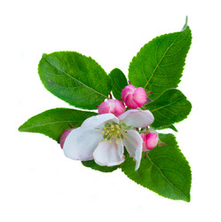 Similar image 13088269