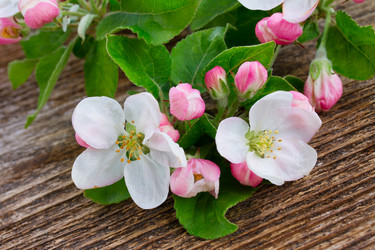 Similar image 13088289