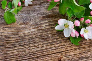 Similar image 13088310