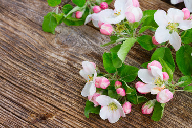 Similar image 13088327