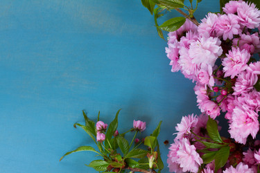 Similar image 13088368