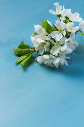 Similar image 13088389