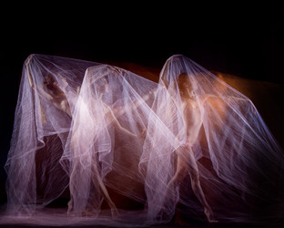 Similar image 13087735