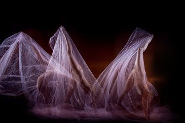 Similar image 13087737