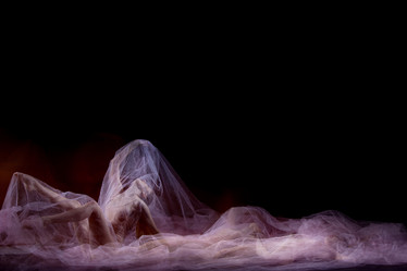 Similar image 13087741