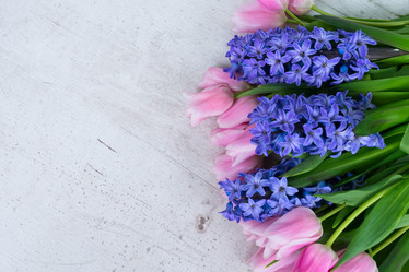 Similar image 13088512