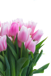 Similar image 13088571