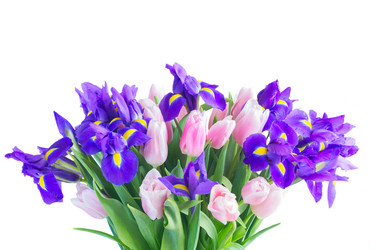 Similar image 13088592