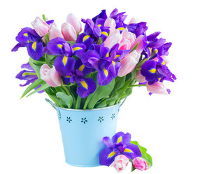 Similar image 13088611