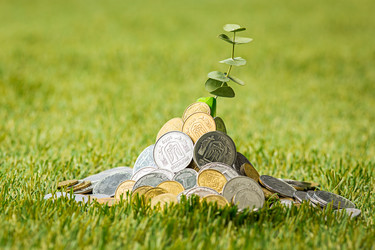 Similar image 13087535