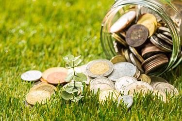 Similar image 13087560