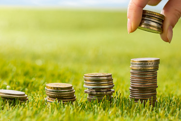 Similar image 13087959