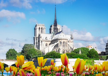 Similar image 13088191