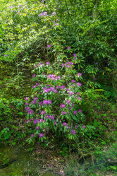 Similar image 13096912