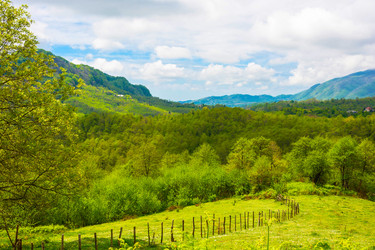 Similar image 13096927