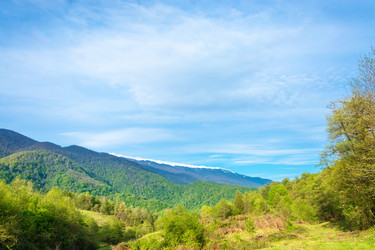 Similar image 13096928