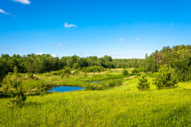 Similar image 13080248