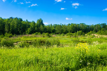 Similar image 13080249