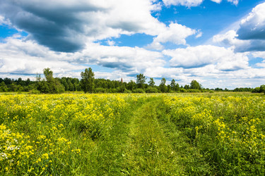 Similar image 13080251