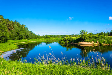 Similar image 13080299