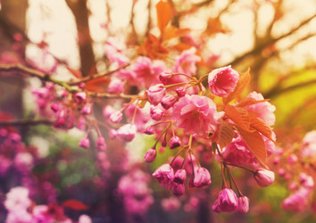 Similar image 13088209